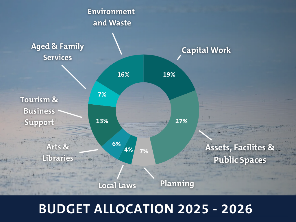 A breakdown of the 2024-2025 budget allocation.​
